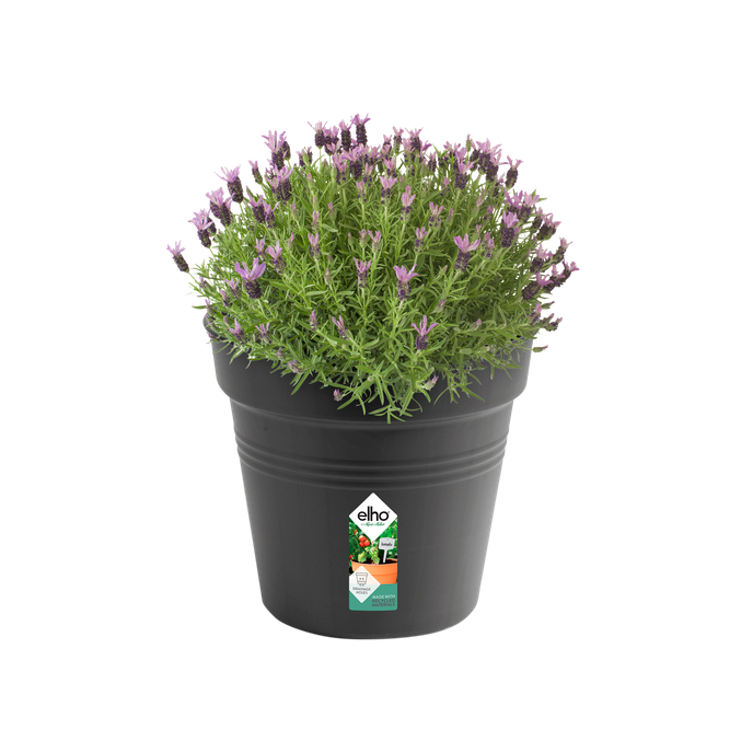 green basics pot de culture 35cm living noir